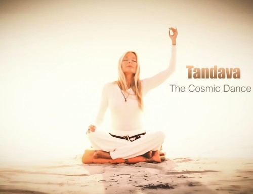 Tandava – The Cosmic Dance